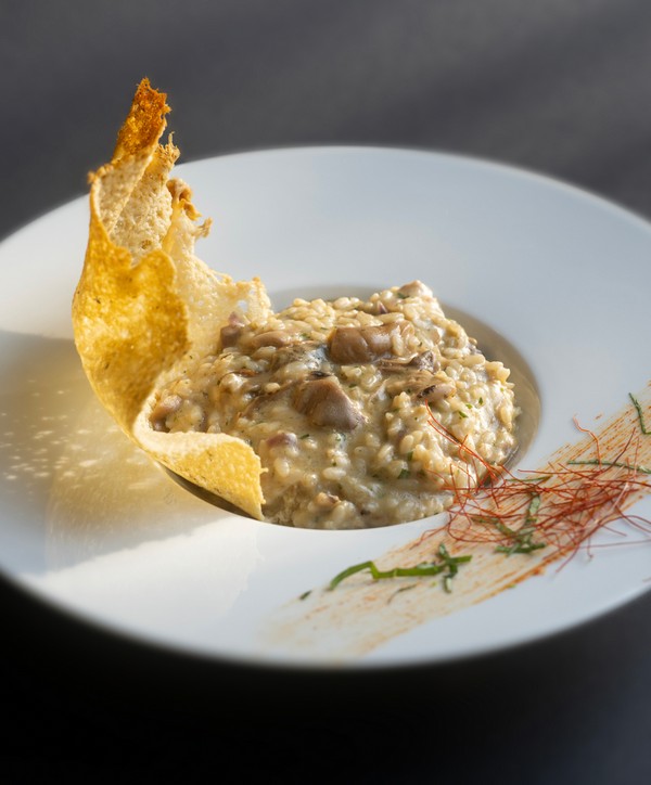 Al Fiume restaurant Typical Trentino cuisine, lake fish in Arco